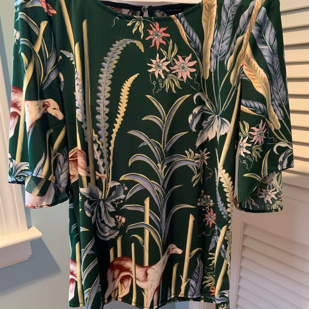 Beautiful Ann Taylor shortsleeved blouse Medium